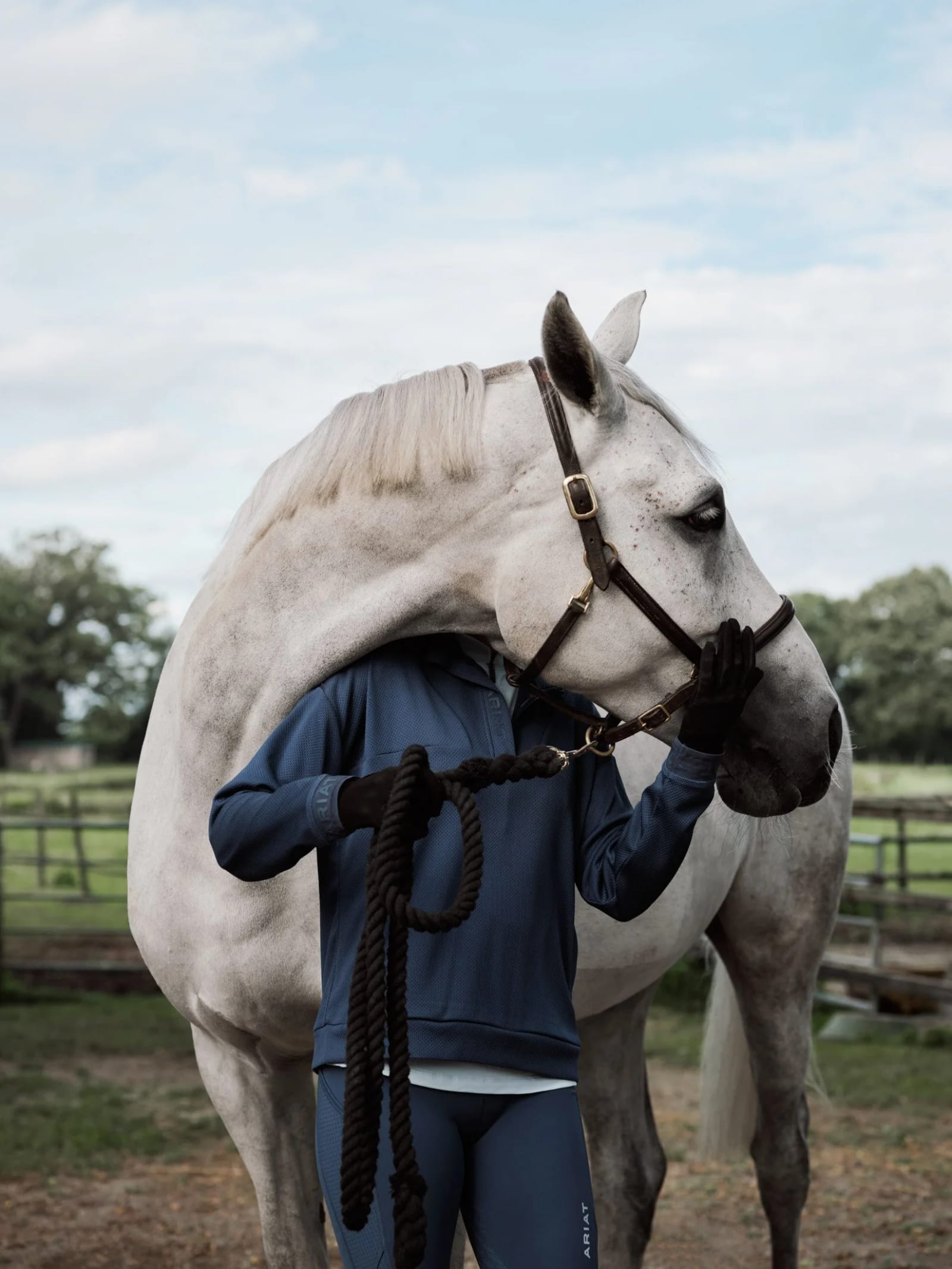A rider in navy Ariat clothing hugging the neck of a white horse in a paddock.
