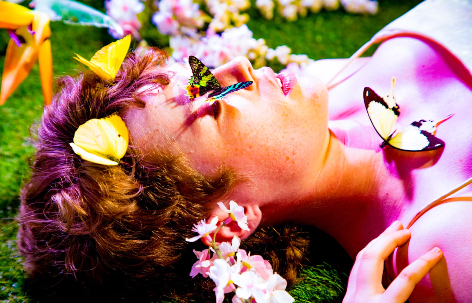 A red-haired young man lying on grass with butterflies and blossom on his face and shoulder, lit pink.