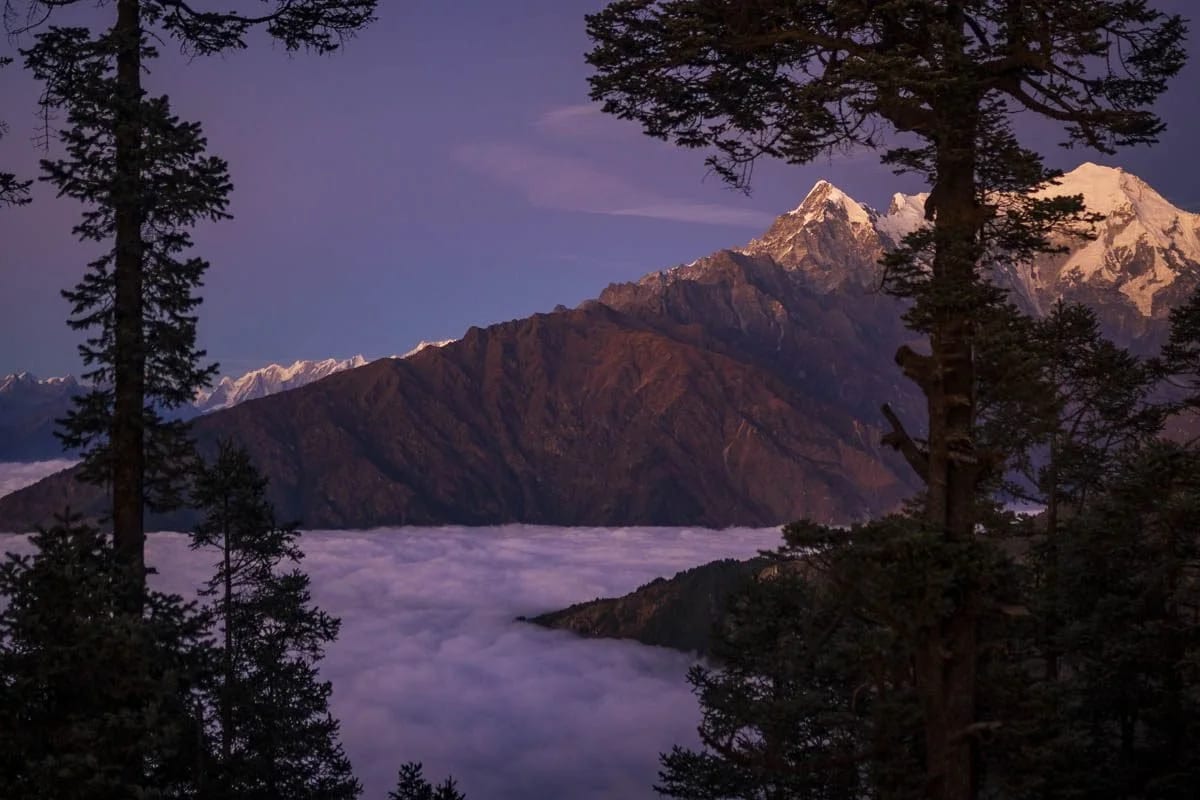 Snow-capped peaks above a valley filled with cloud at dusk, framed by dark pines.