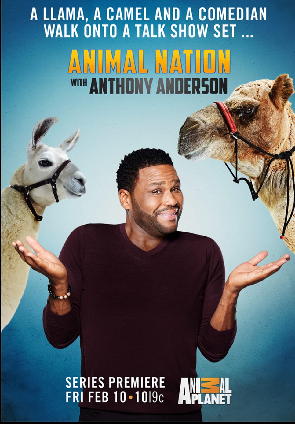 Poster for Animal Nation with Anthony Anderson, a man shrugging between a llama and a camel.