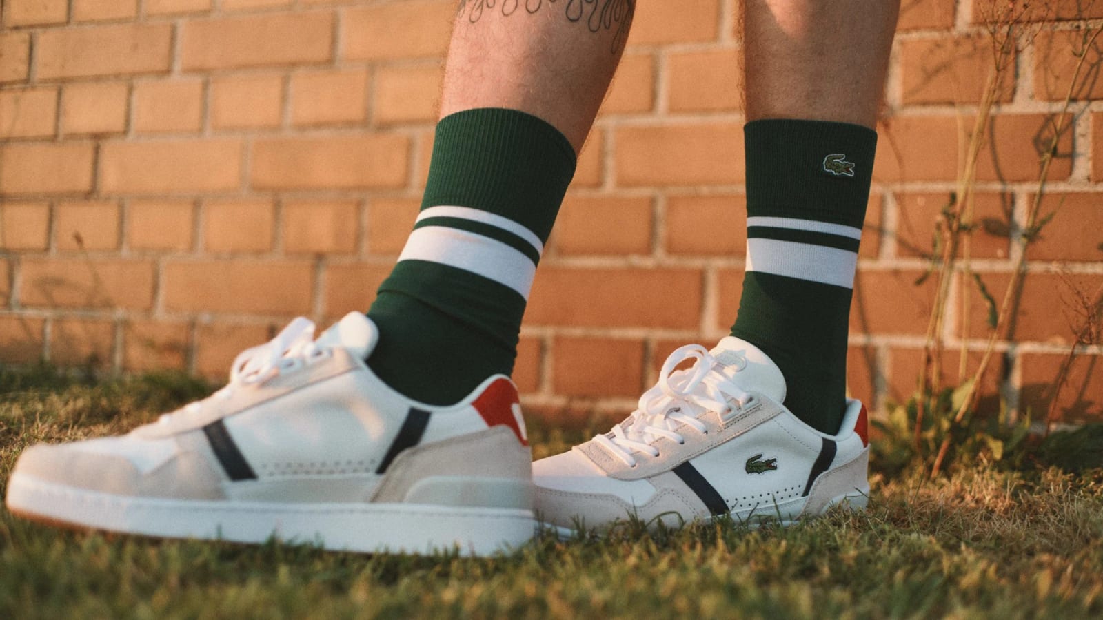 Close-up of white trainers and green Lacoste socks on grass in front of a brick wall.
