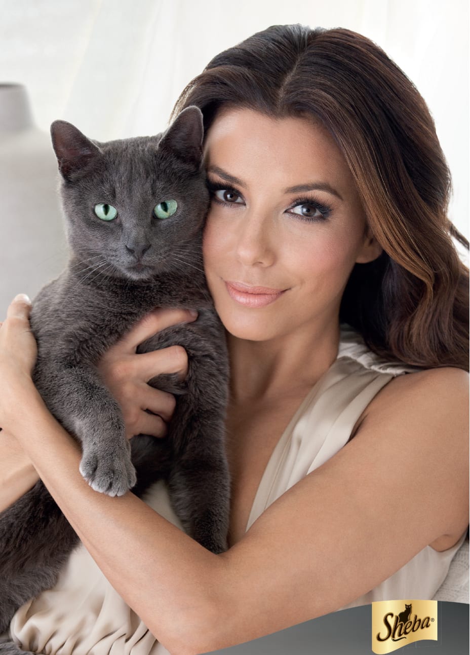 Sheba advertisement: a woman cradling a grey cat with green eyes against her face.